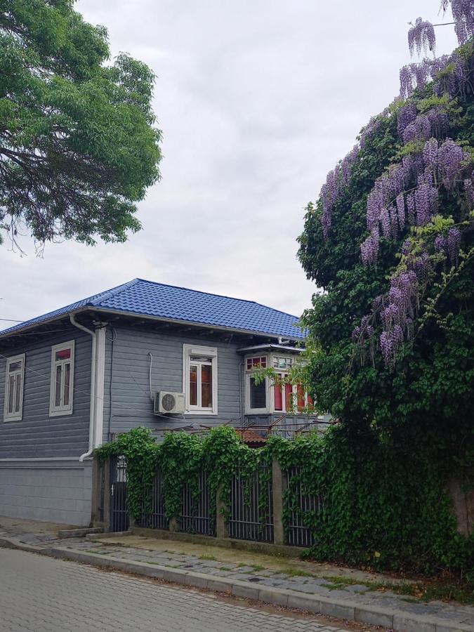 Casa De Vacanta Rodica Sulina Kültér fotó