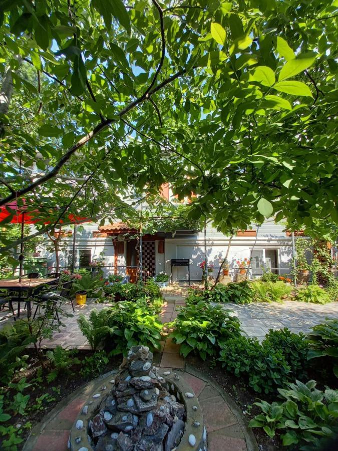 Casa De Vacanta Rodica Sulina Kültér fotó